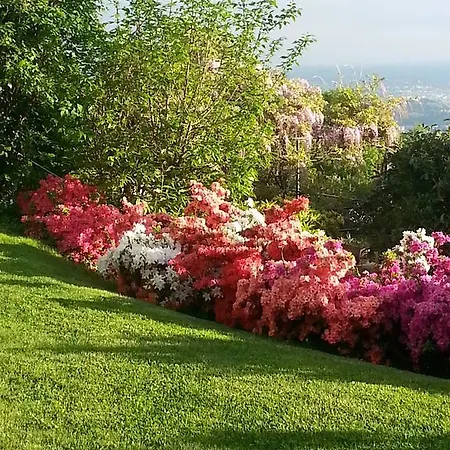 בית נופש Casa Vacanze Le Violette ברונאטה