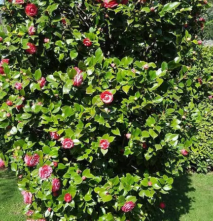 Hébergement de vacances Le Violette