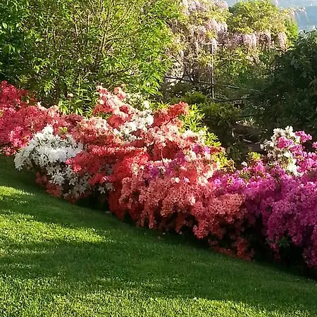 Casa Vacanze Le Violette * Brunate