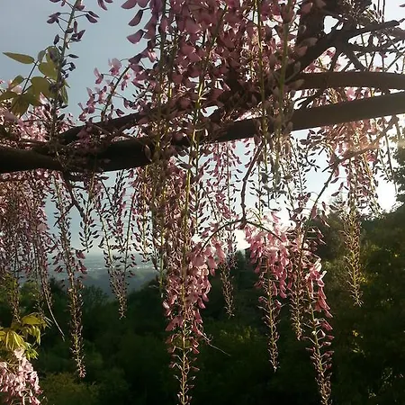 Casa Vacanze Le Violette * Brunate